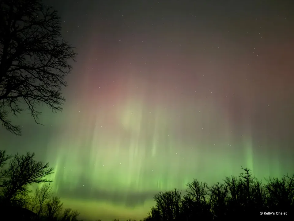 Defined green aurora curtains with pink light above trees near Grand Beach, photographed away from Kelly’s Chalet