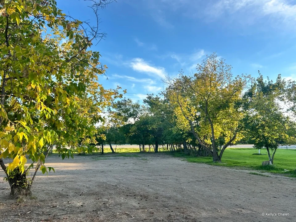Golden autumn foliage and open sky over the chalet grounds