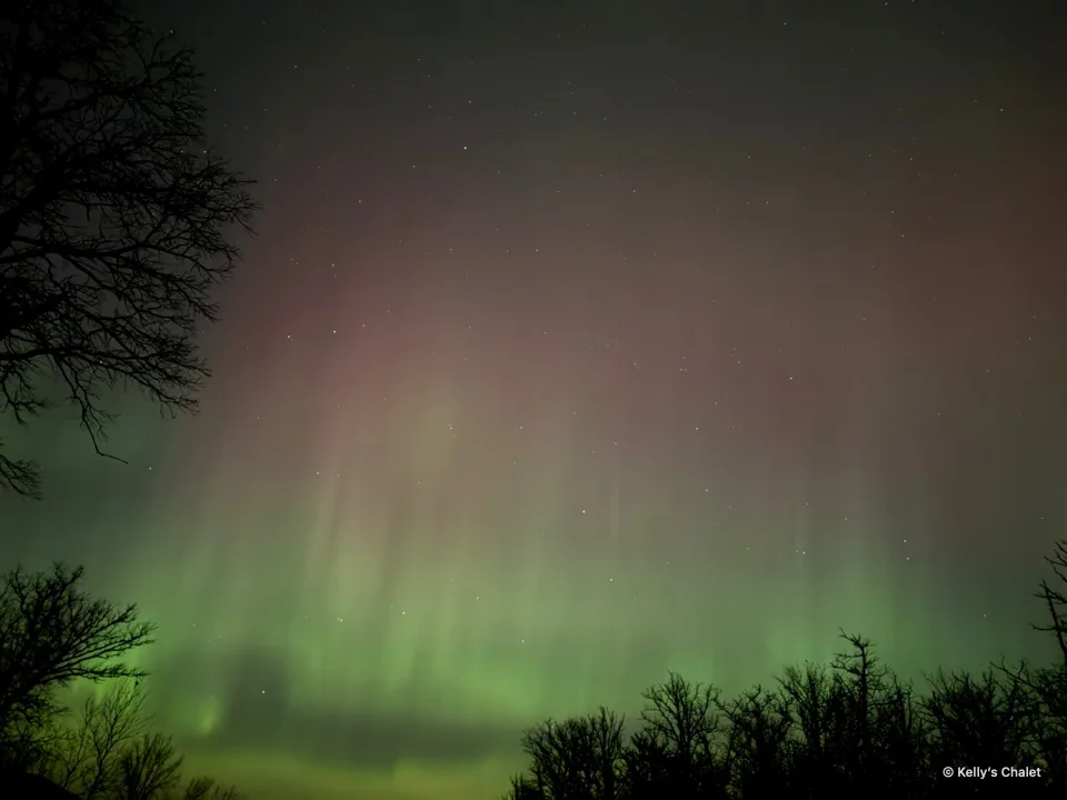 Green aurora and pink night sky above tree silhouettes near Grand Beach, photographed away from Kelly’s Chalet