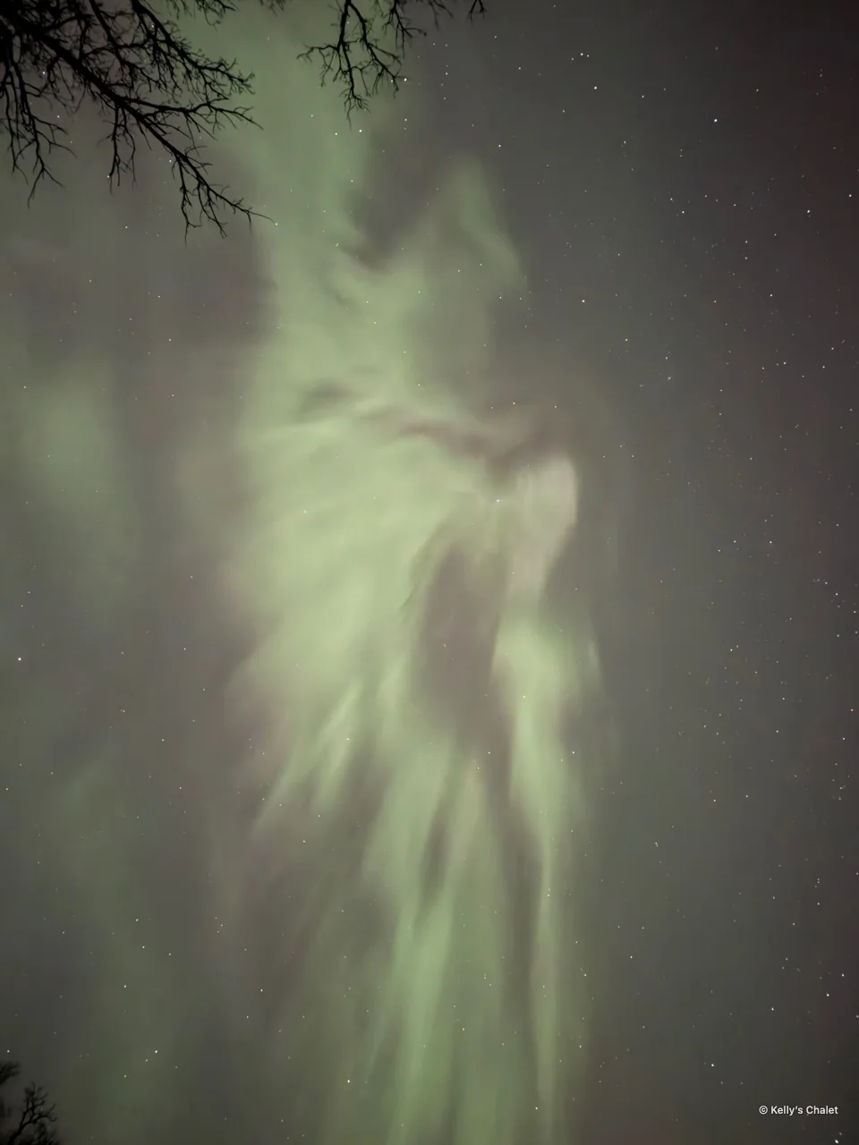 Green aurora formations framed by branches near Grand Beach, photographed away from Kelly’s Chalet