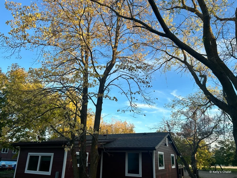 Kelly’s Chalet beneath golden autumn trees
