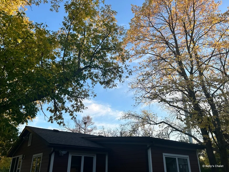 The chalet roofline and windows framed by leafy trees