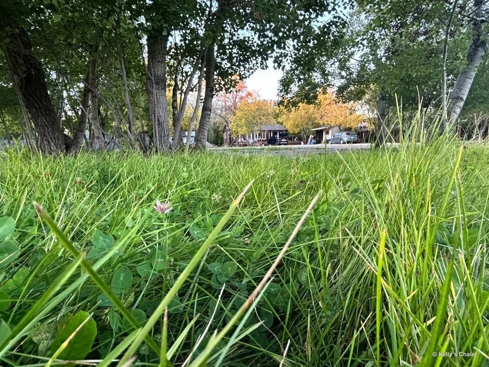 Low view through grass toward Kelly’s Chalet