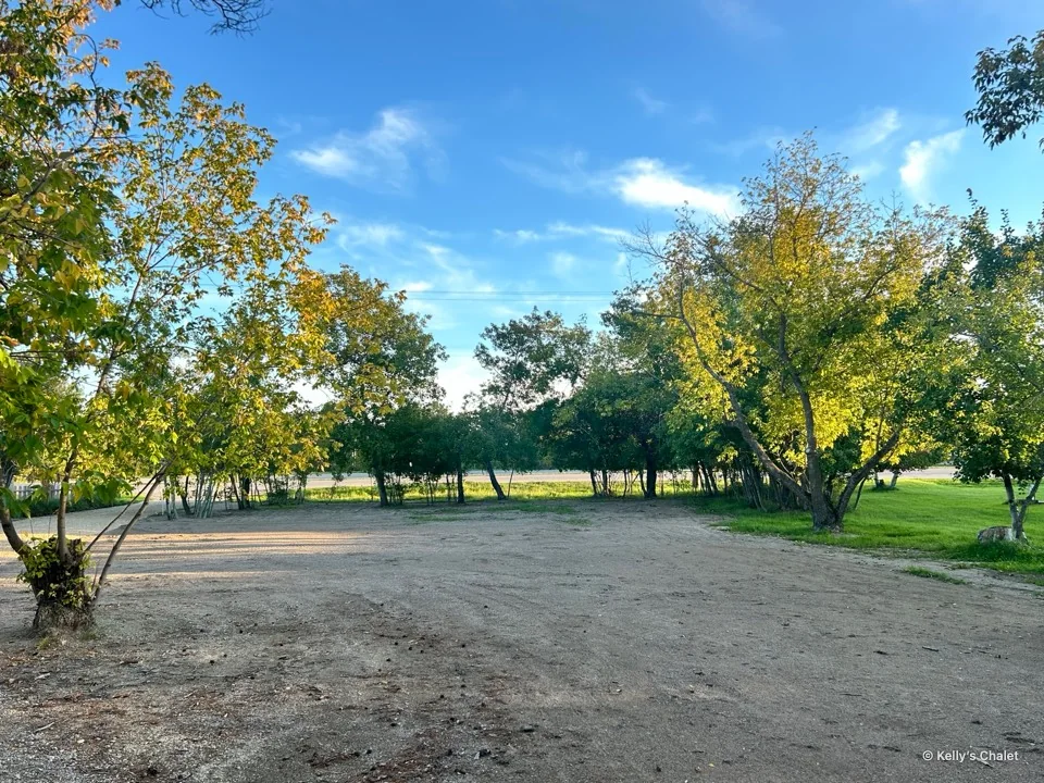 Open grounds surrounded by trees beneath a blue sky at Kelly’s Chalet