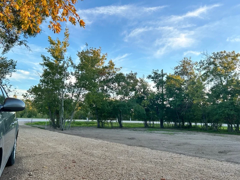 Open tree lined grounds with a parked vehicle at the edge