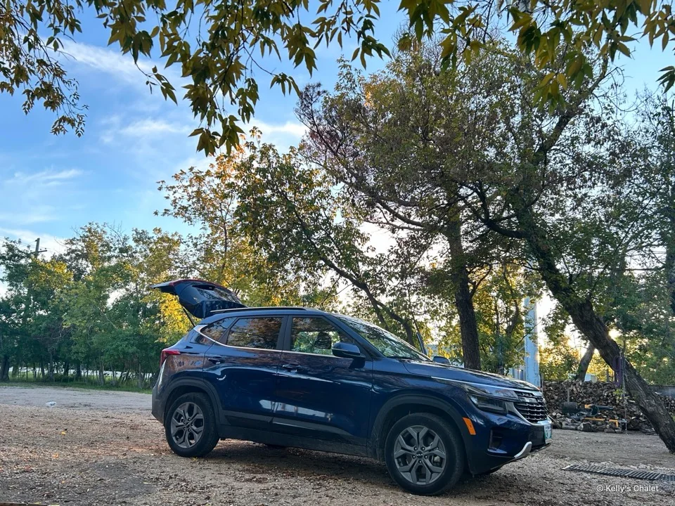A parked vehicle beneath trees on the chalet grounds