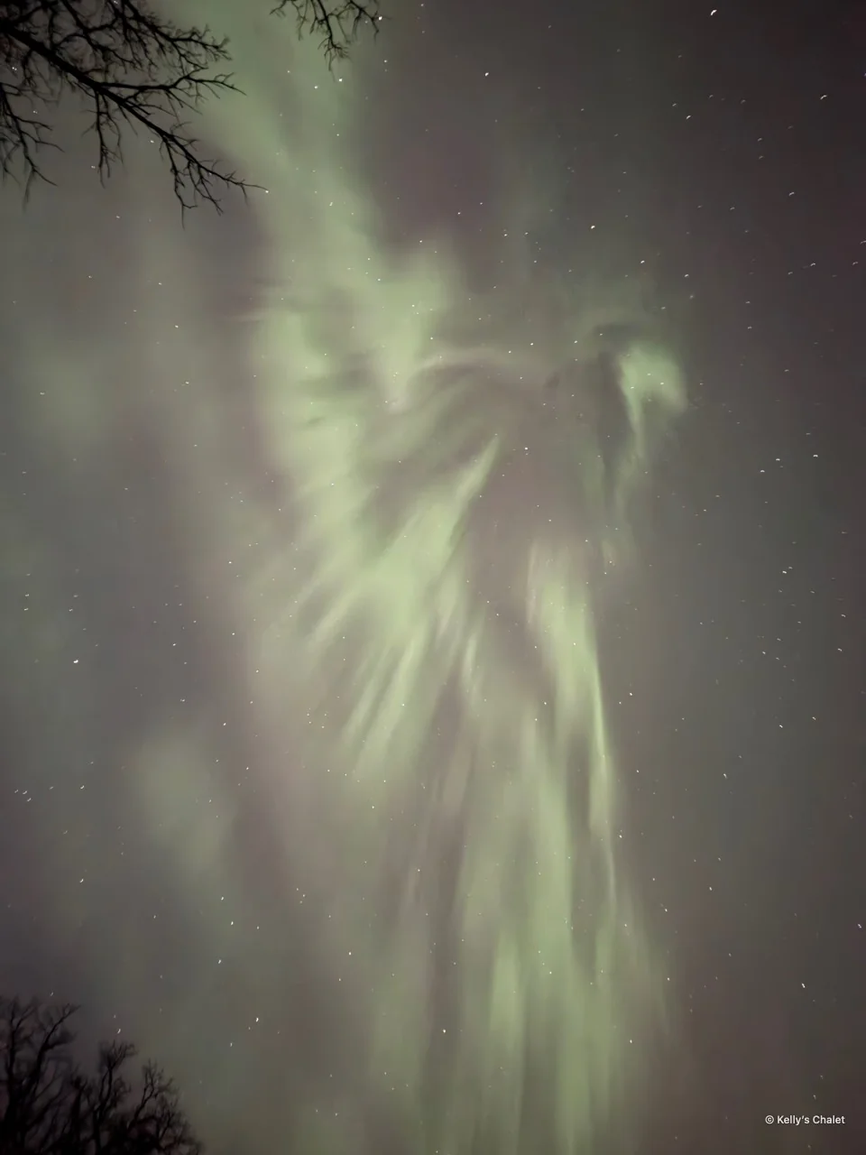 Sweeping green aurora with branches overhead in the Grand Beach area, photographed away from Kelly’s Chalet