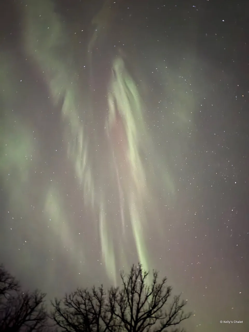Tall green aurora curtains above trees near Grand Beach, photographed away from Kelly’s Chalet