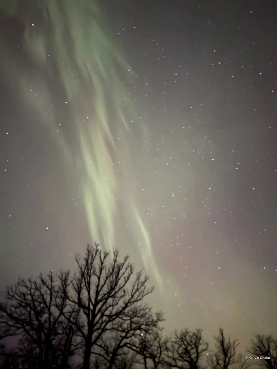 Vertical green aurora curtains above bare branches in the Grand Beach area, photographed away from Kelly’s Chalet