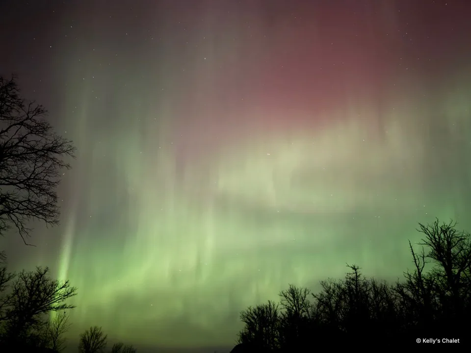 Vivid green aurora curtains and pink sky framed by trees near Grand Beach, photographed away from Kelly’s Chalet